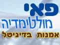 פאי מולטימדיה - הרבה יותר מעיצוב והקמת אתרי אינטרנט.